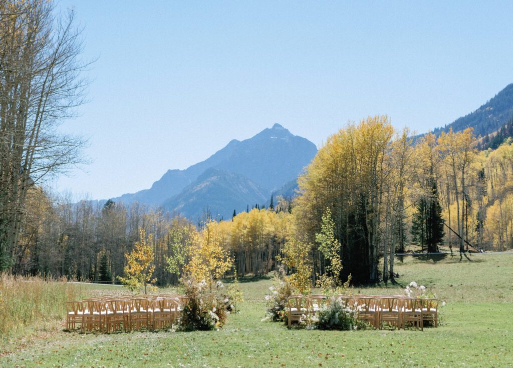 Golden aspen trees backdrop