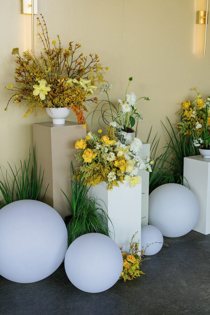 Photo opportunity with fun lighting and citrus colors