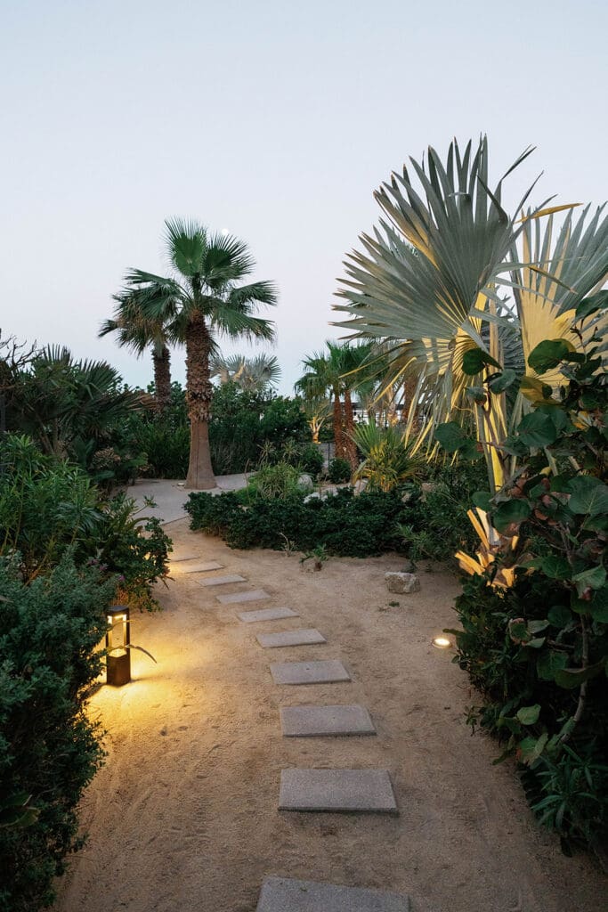 Acre Cabo Wedding